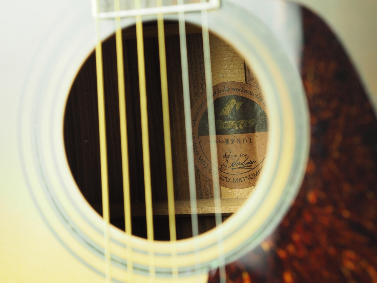 ギター Morris MF-501 Morris MF-501(管理番号4944)（中古）【楽器検索デジマート】