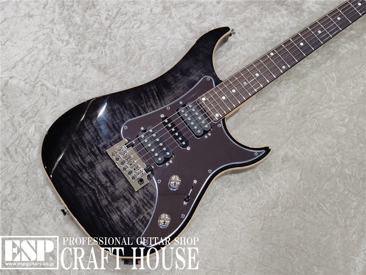 Vigier Guitars Excalibur Custom VE6-CVSP1 / Mysterious Black