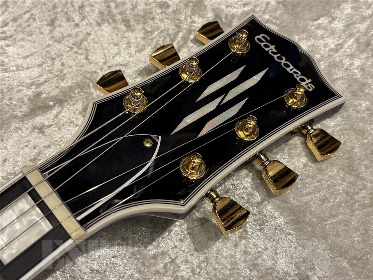EDWARDS E-LP-CTM【Black】（新品/送料無料）【楽器検索デジマート】
