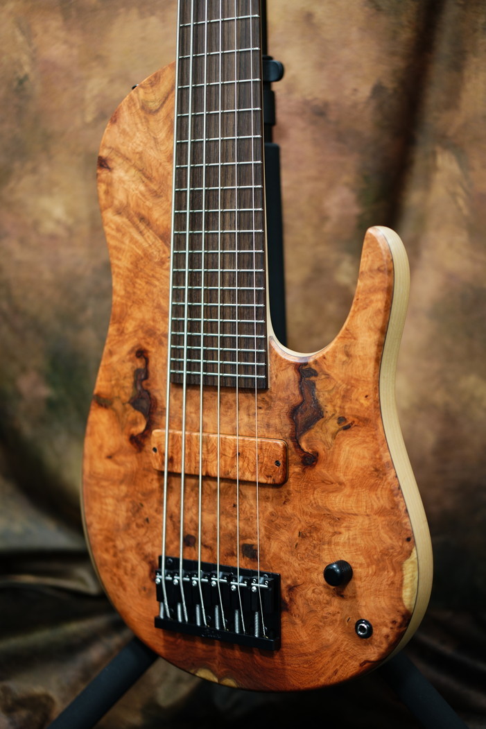 Fodera 40th Anniversary Anthony Jackson Presentation 6 Elite