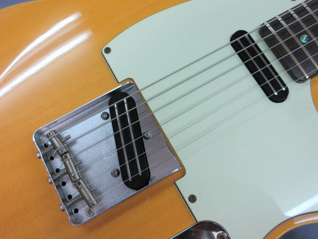 HISTORY GH-T2 / TS VNT / JOE BARDEN Danny Gatton（中古）【楽器検索