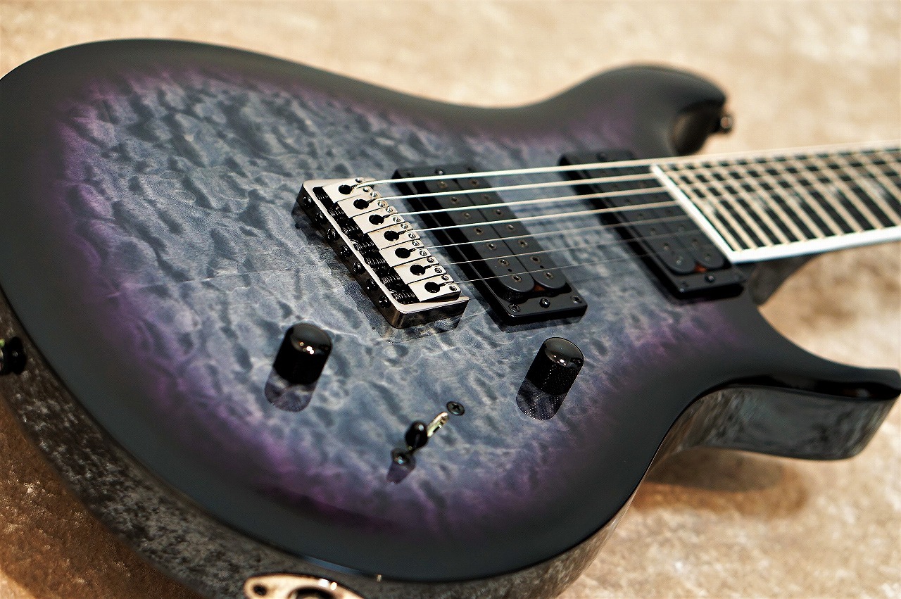 Paul Reed Smith(PRS) SE Mark Holcomb SVN ～Holcomb Burst～ 【送料