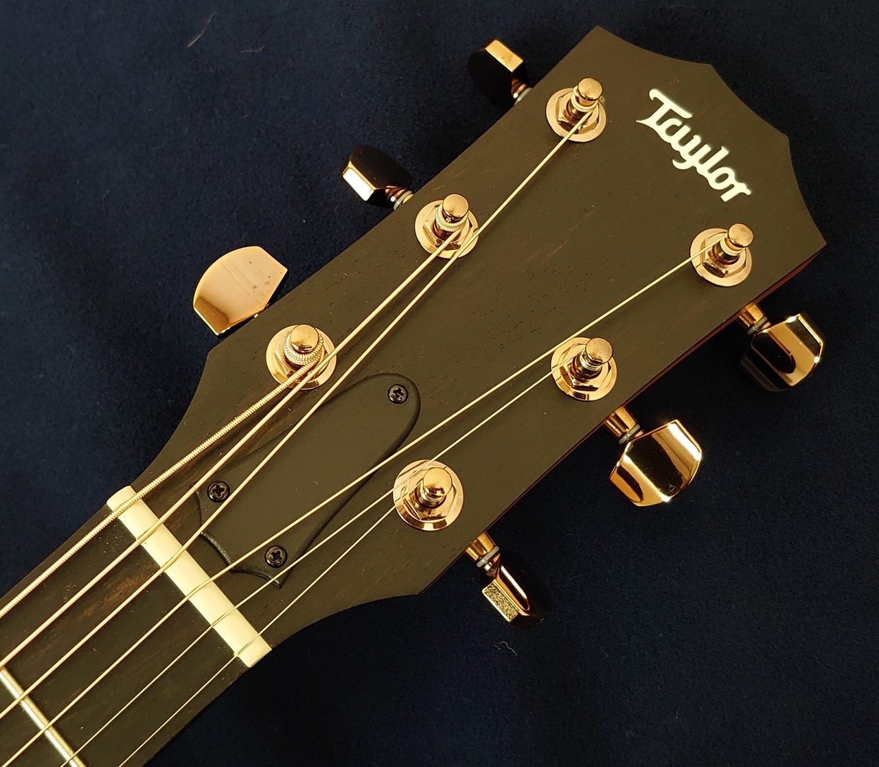 Taylor 214ce Rosewood DLX SB（新品/送料無料）【楽器検索
