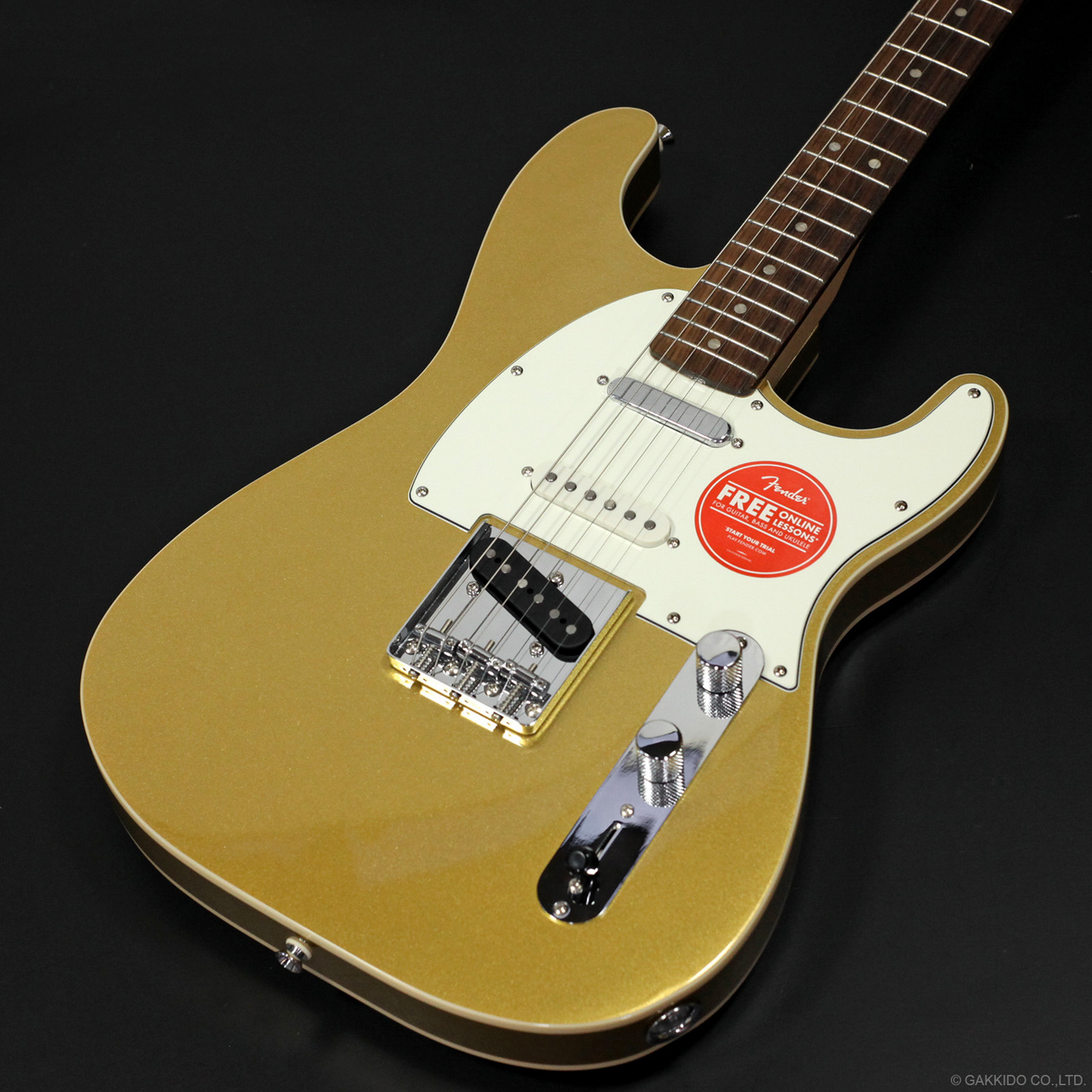 Squier by Fender Paranormal Custom Nashville Stratocaster [Aztec