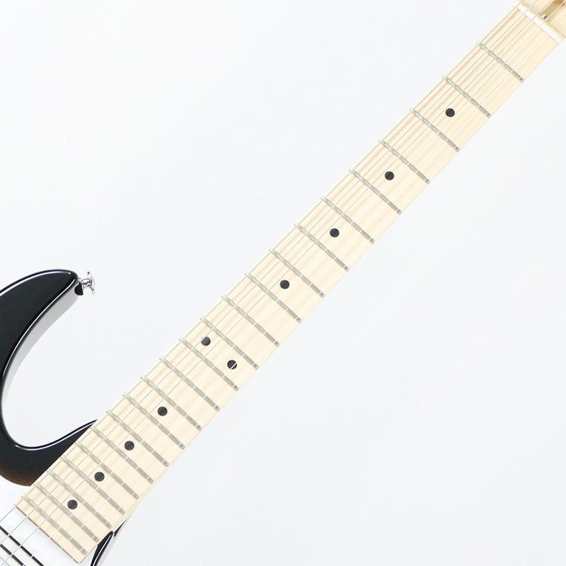アイオンの貴重品 世界で3枚 【PCGS鑑定70】ウナとライオン 2019 イギリス領