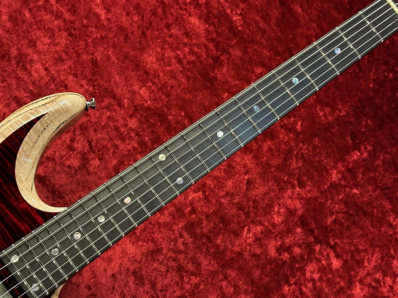 T's Guitars DST 24 Beveled Custom ≒3.438Kg（新品/送料無料