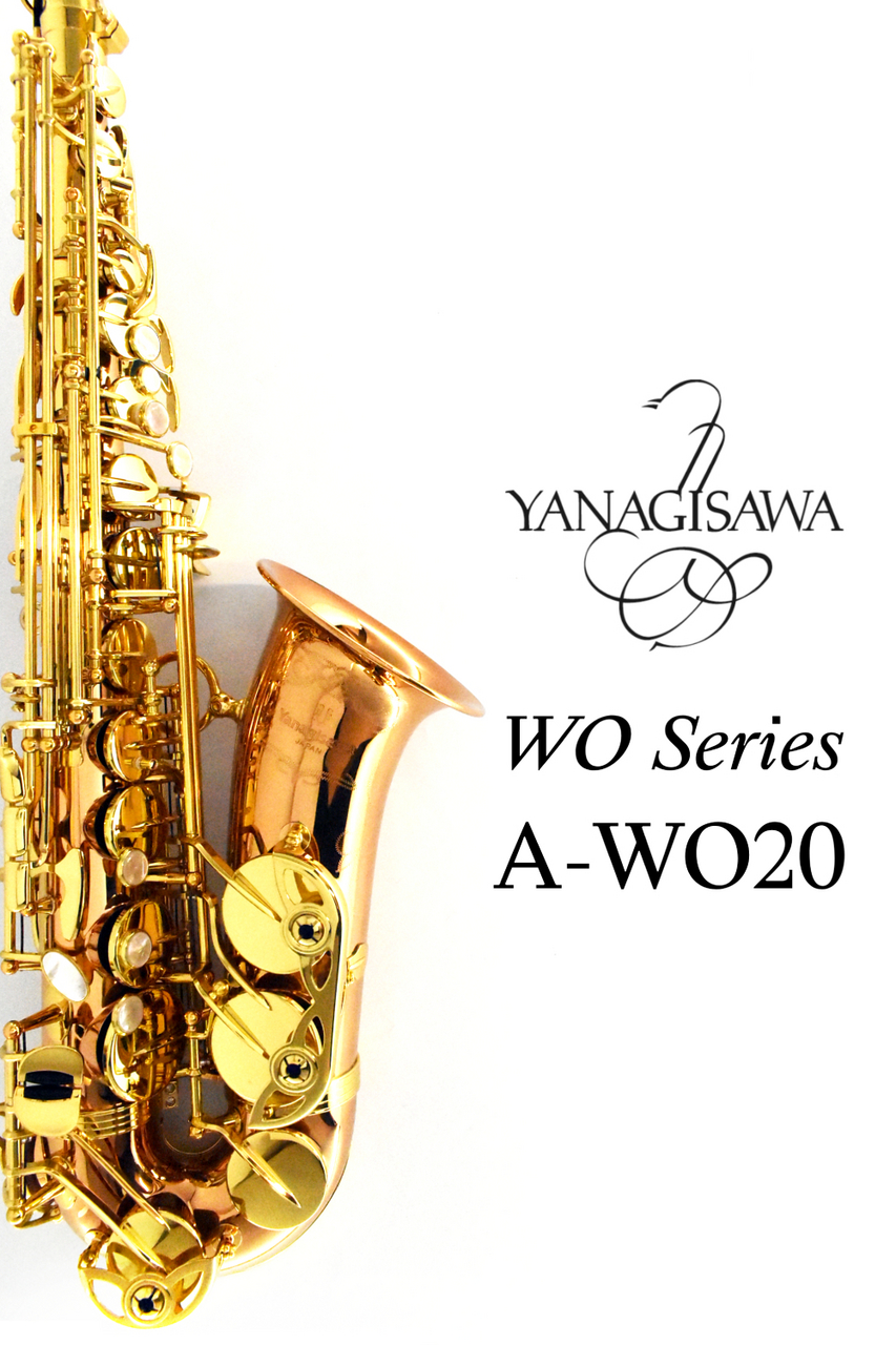 YANAGISAWA A-WO20 