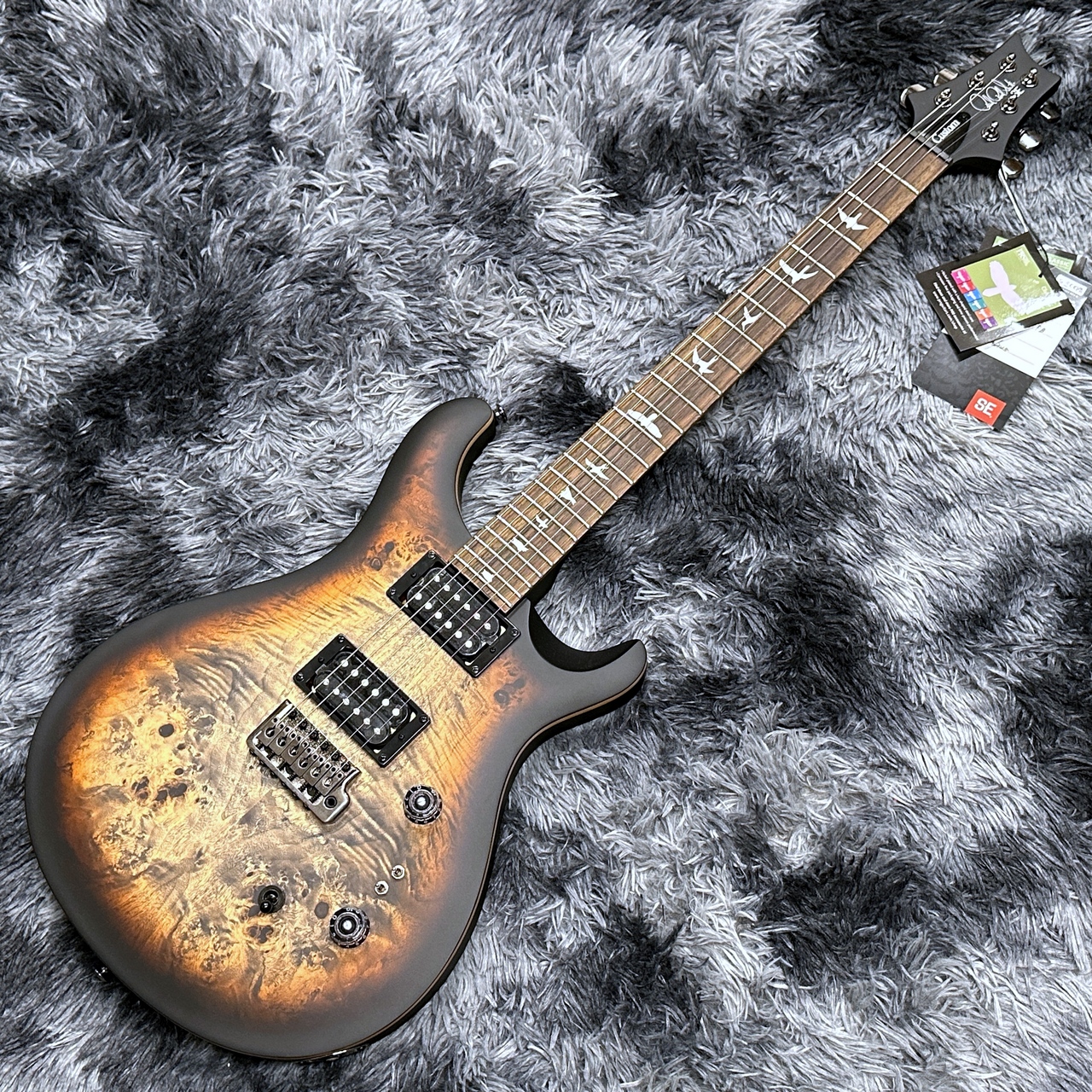 Paul Reed Smith(PRS) SE Custom 24-08 Poplar Burl Limited Edition