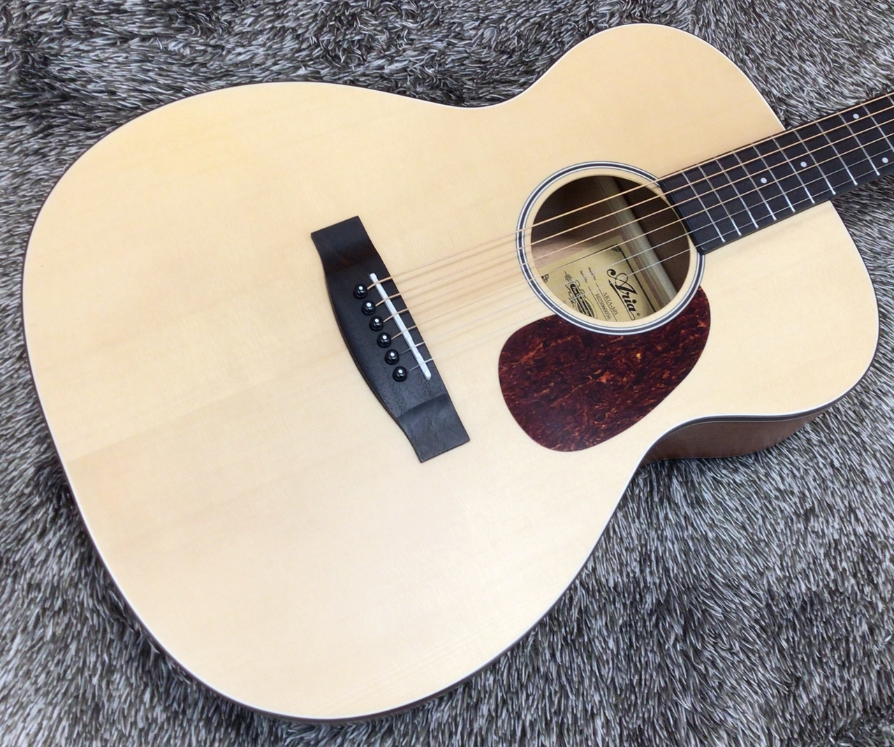 ARIA ARIA-101 MTN【オススメのエントリーモデル】（新品特価）【楽器