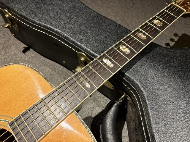 Morris TF-801　ハカランダ　単板 ジャパンヴィンテージ　日本　ギター Morris TF-801（ビンテージ）【楽器検索デジマート】