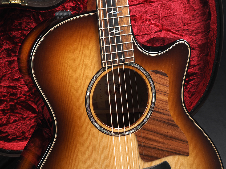 Taylor Builder's Edition 814ce Honduran Rosewood / Adirondack