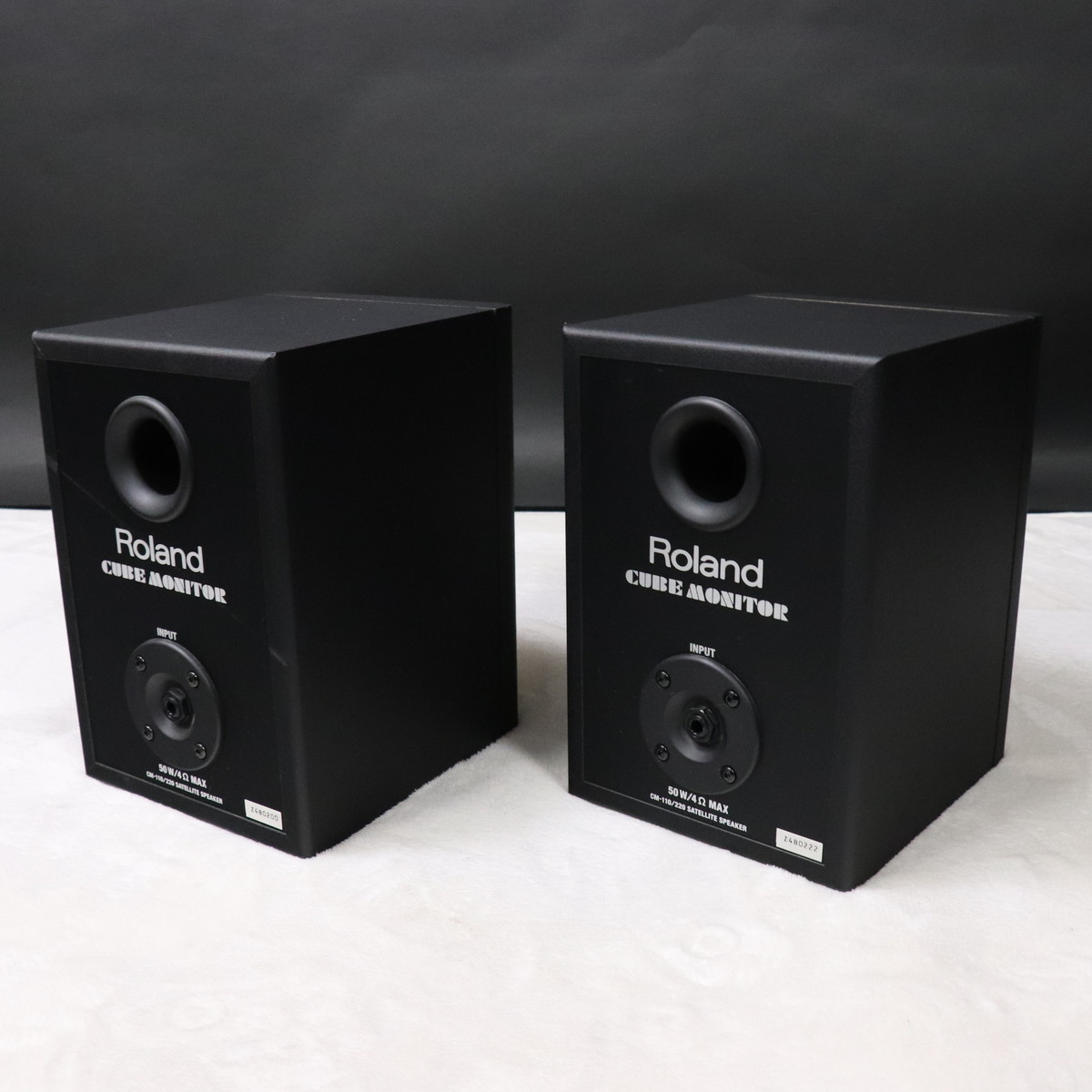 Roland CM-220 2.1スピーカーシステム Roland CM-220 2.1スピーカーシステム Roland CM-220 2.1スピーカー