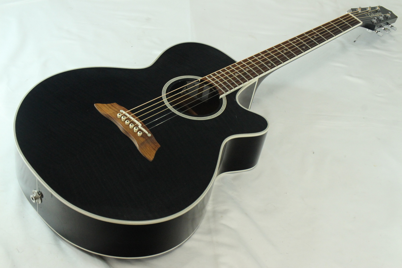 Takamine DSP-110 ギター-