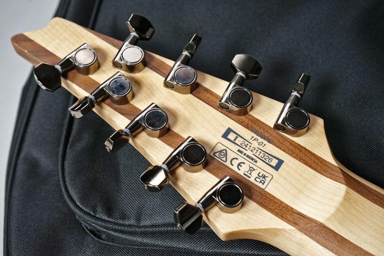 値下げ！Bumped Skinny Cats 超低テンション弦 Ibanez RG9PB-TGF (Transparent Gray Flat)9弦モデル（新品特価