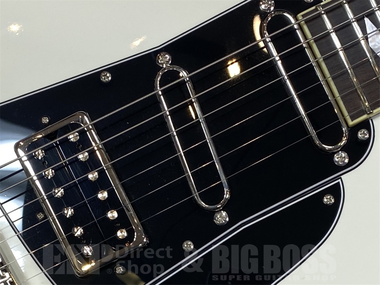 Duesenberg DPA-WH Paloma【White】（新品/送料無料）【楽器検索
