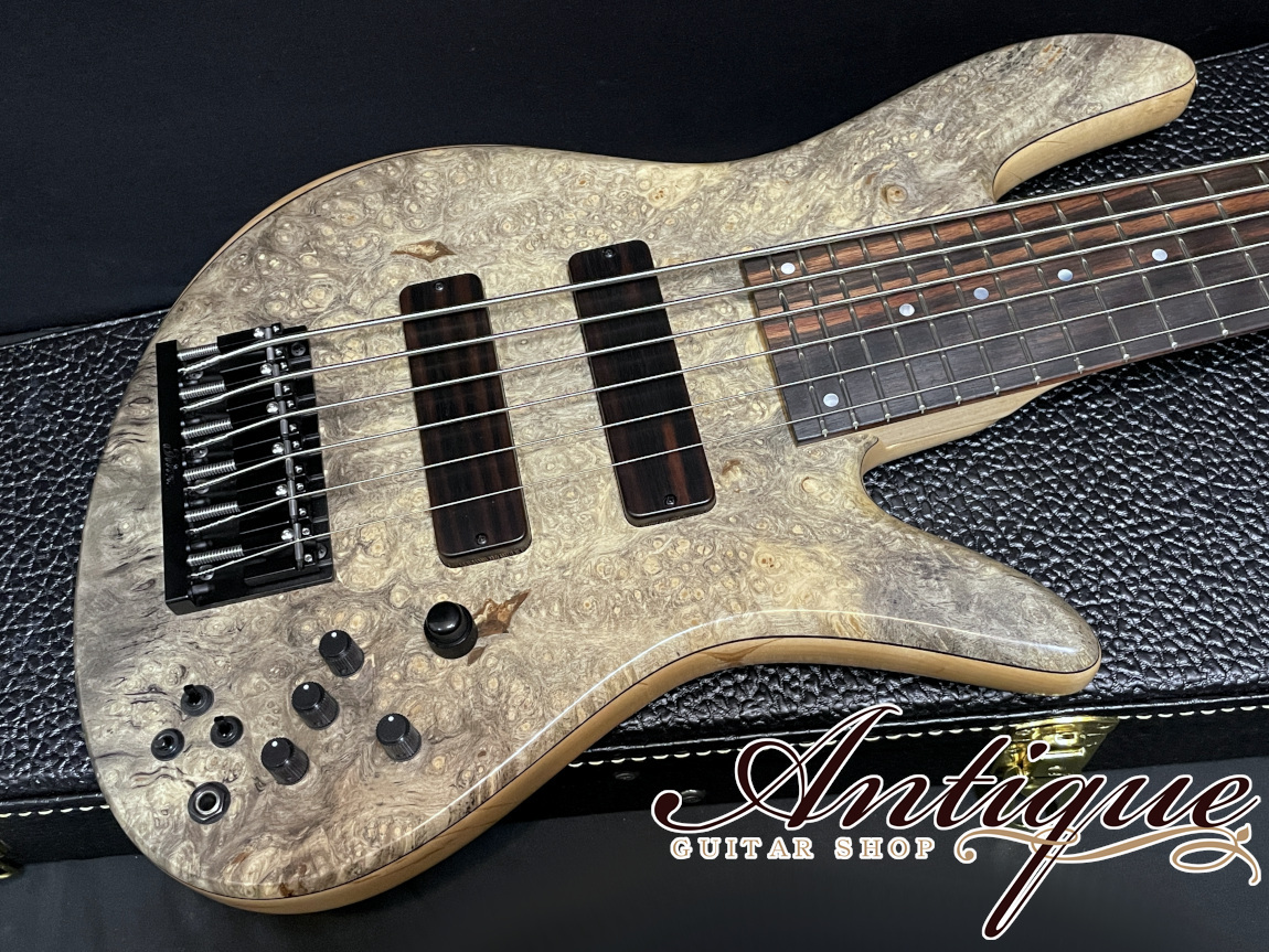 Fodera Emperor Bolt-on 6st Custom 2019 Buckeye Burl Top /Macassar Ebony FB  & Pickup Cover 5.0kg 