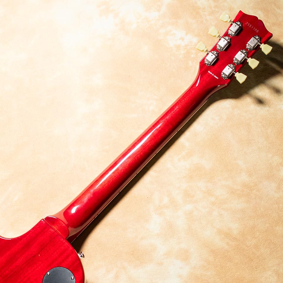 Tokai LS-101 CS（新品）【楽器検索デジマート】
