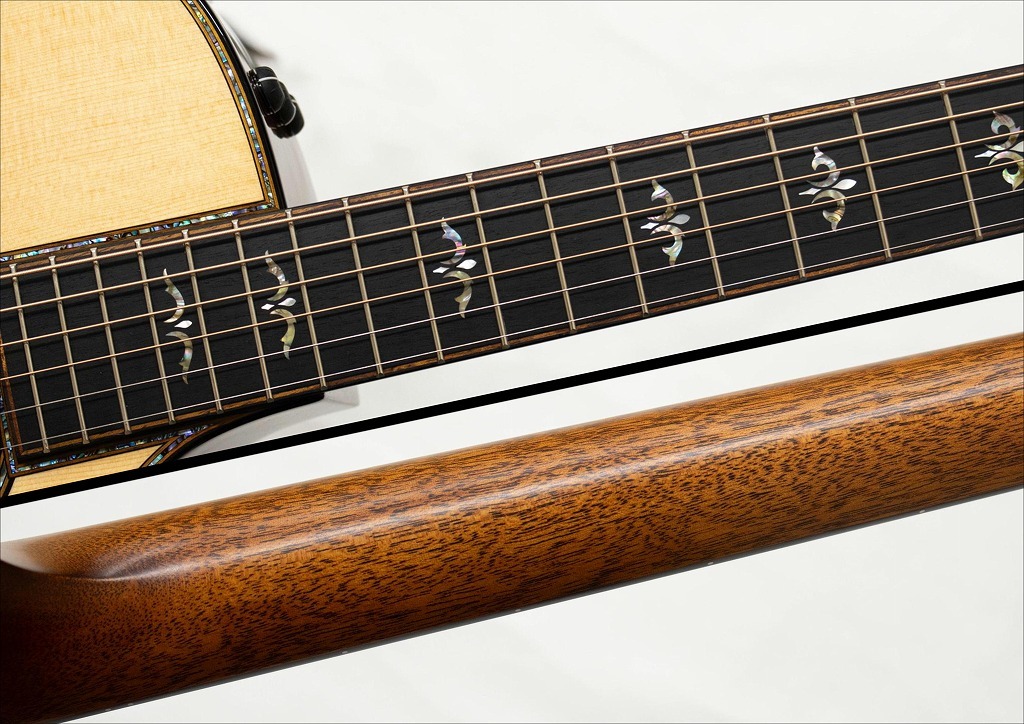 Taylor Taylor 914ce V-Class（新品特価/送料無料）【楽器検索デジマート】