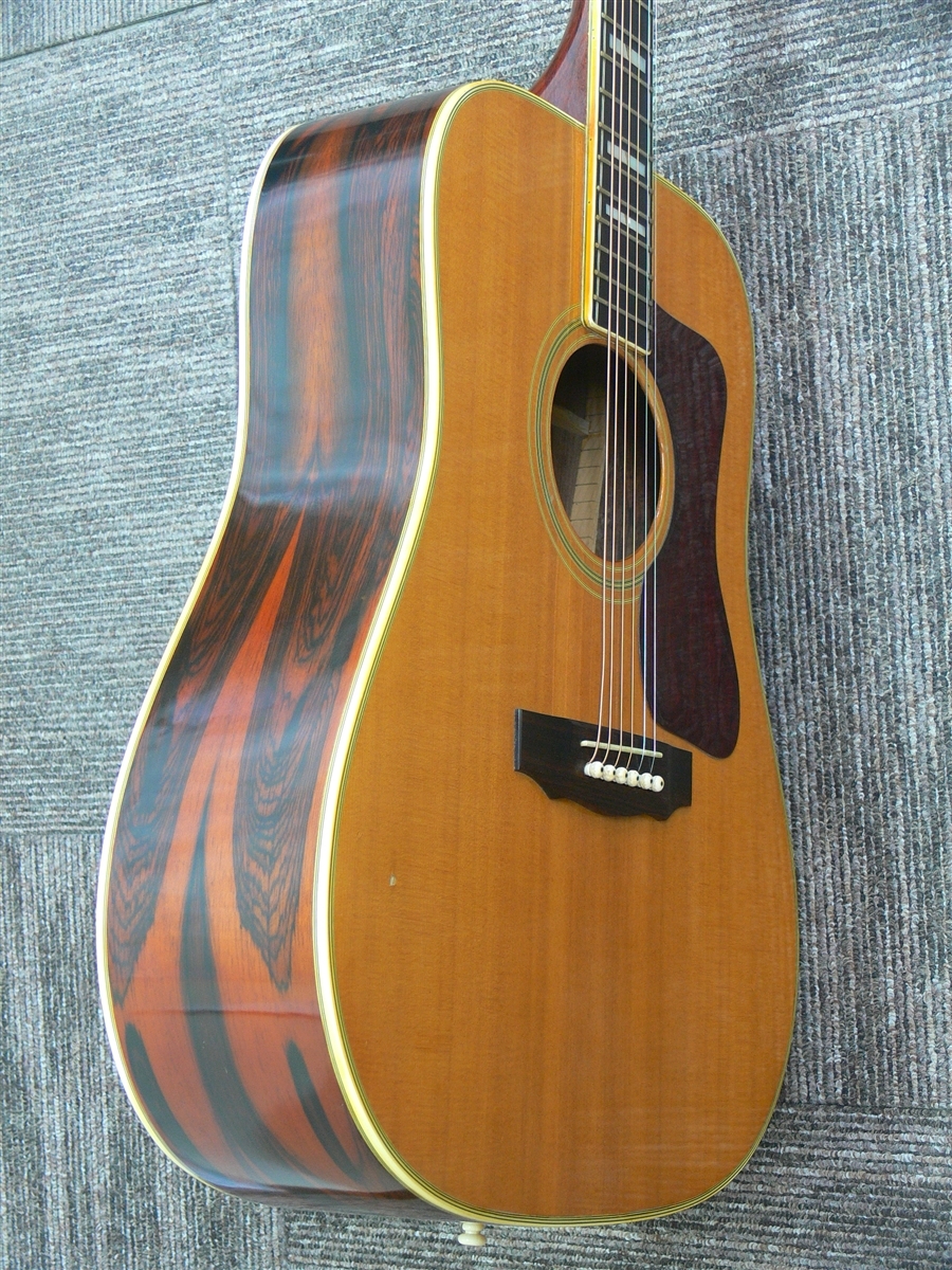 NASHVILLE N55D（ビンテージ）【楽器検索デジマート】