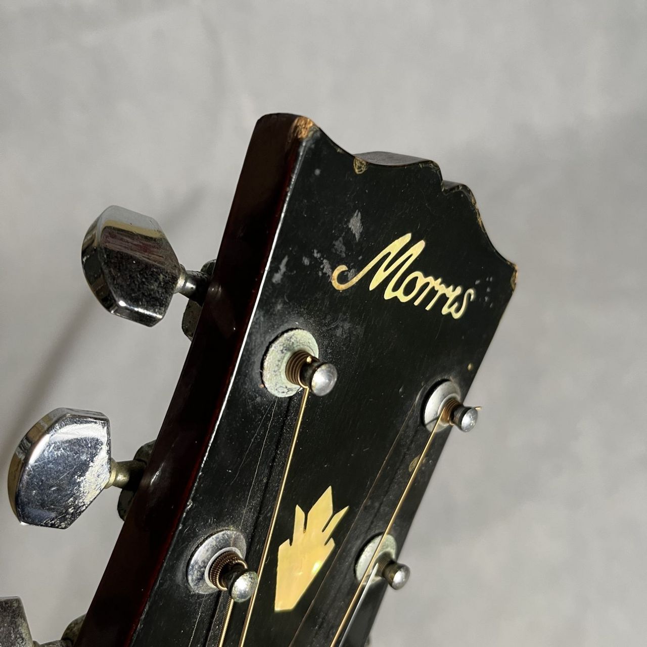 Morris WH-20（中古/送料無料）【楽器検索デジマート】