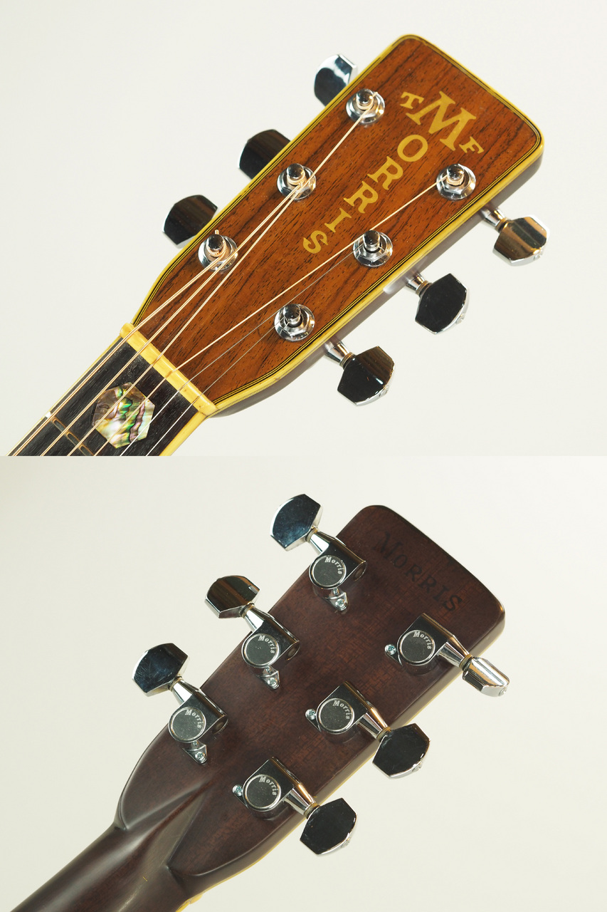 ギター morris special 80 Morris Special 80 (管理番号4907)(中古)【楽器検索デジマート】