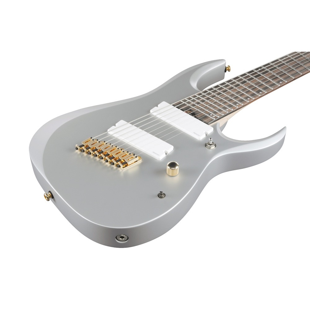 Ibanez RGDMS8-CSM Axe Design Lab Classic Silver Mat 8弦エレキ