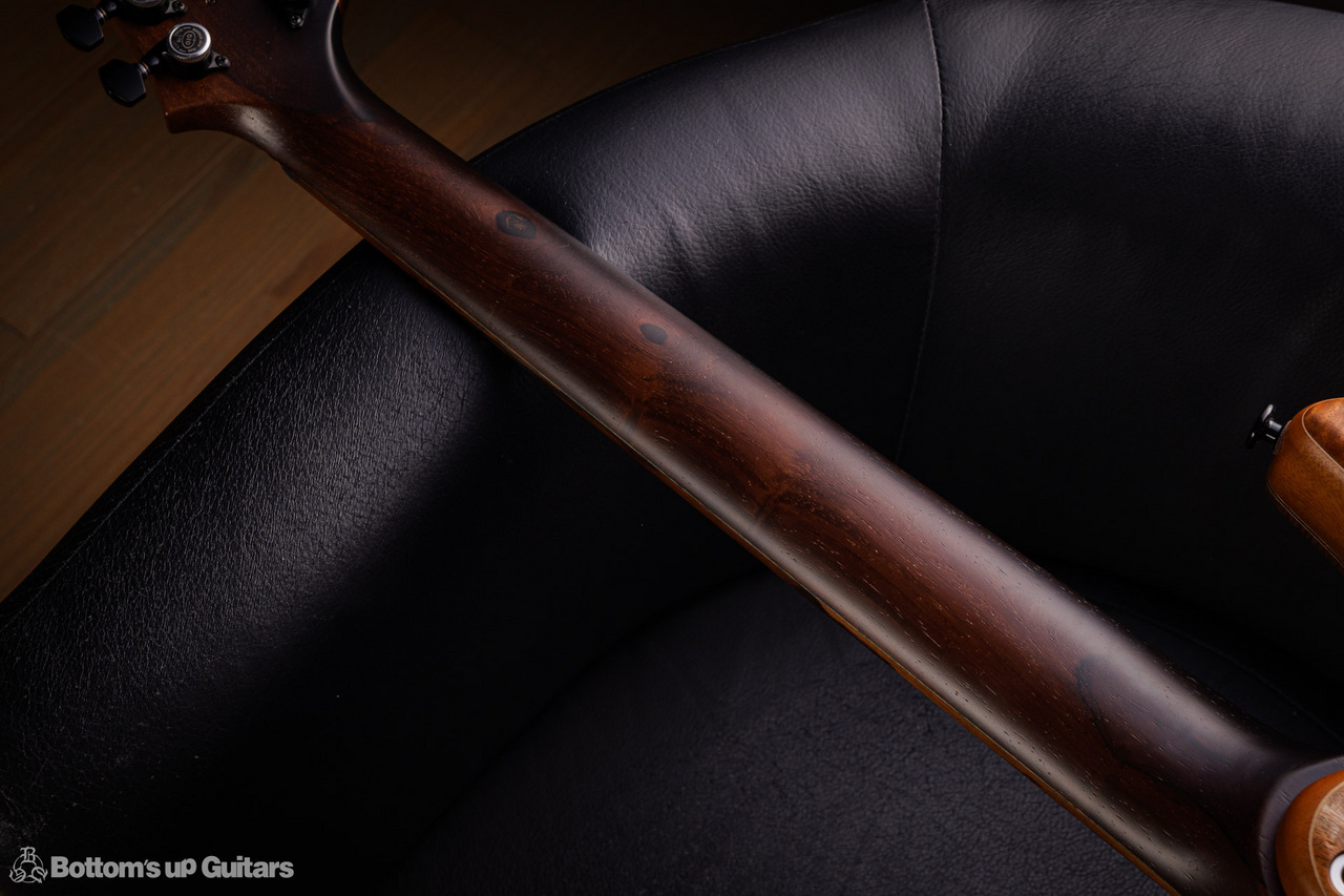 Altero Custom Guitars Vuoto diverso Sette 【ハカランダネック / 7弦