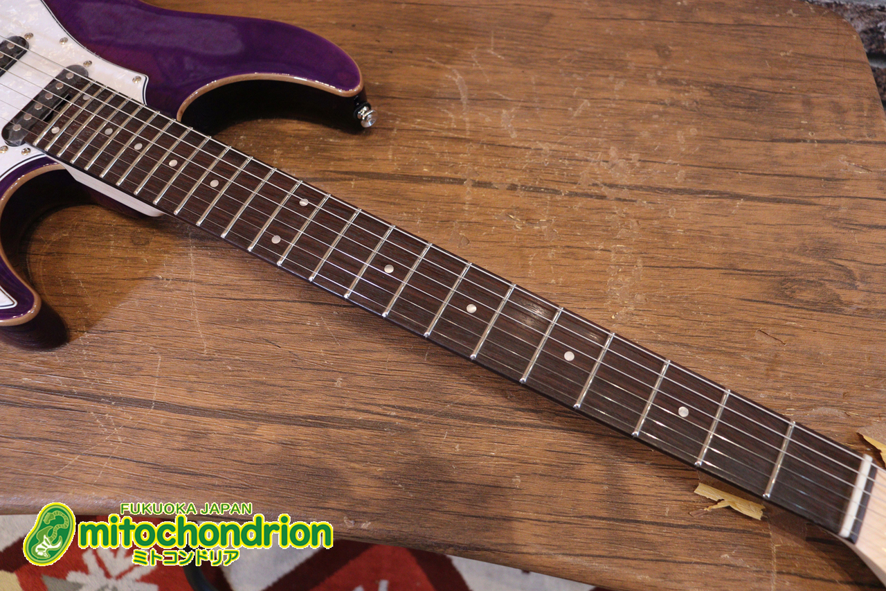 GrassRoots G-SNAPPER-CTM / See Thru Purple（新品）【楽器検索