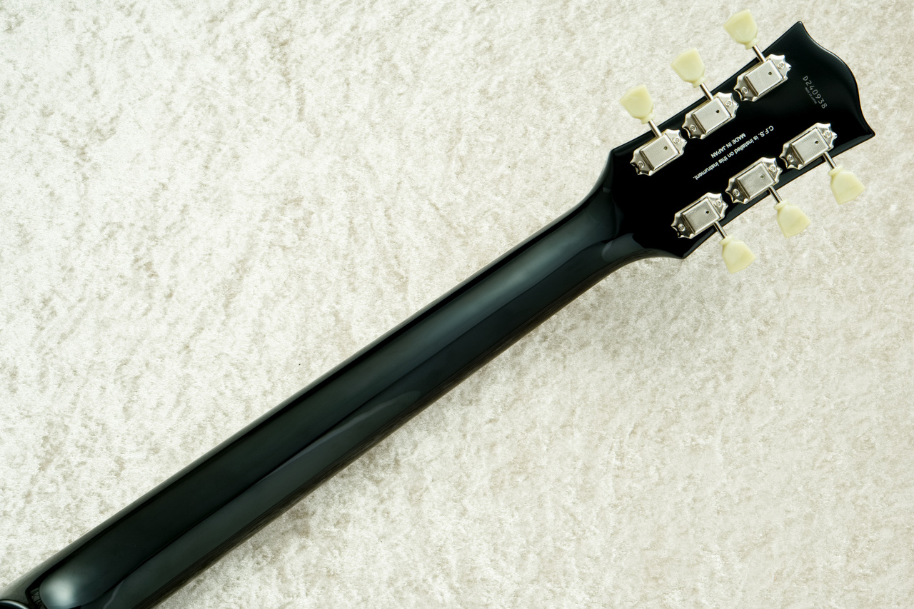 FUJIGEN(FGN) NLS10RMPTB -Black-BK【3.66kg】【薄型ボディ