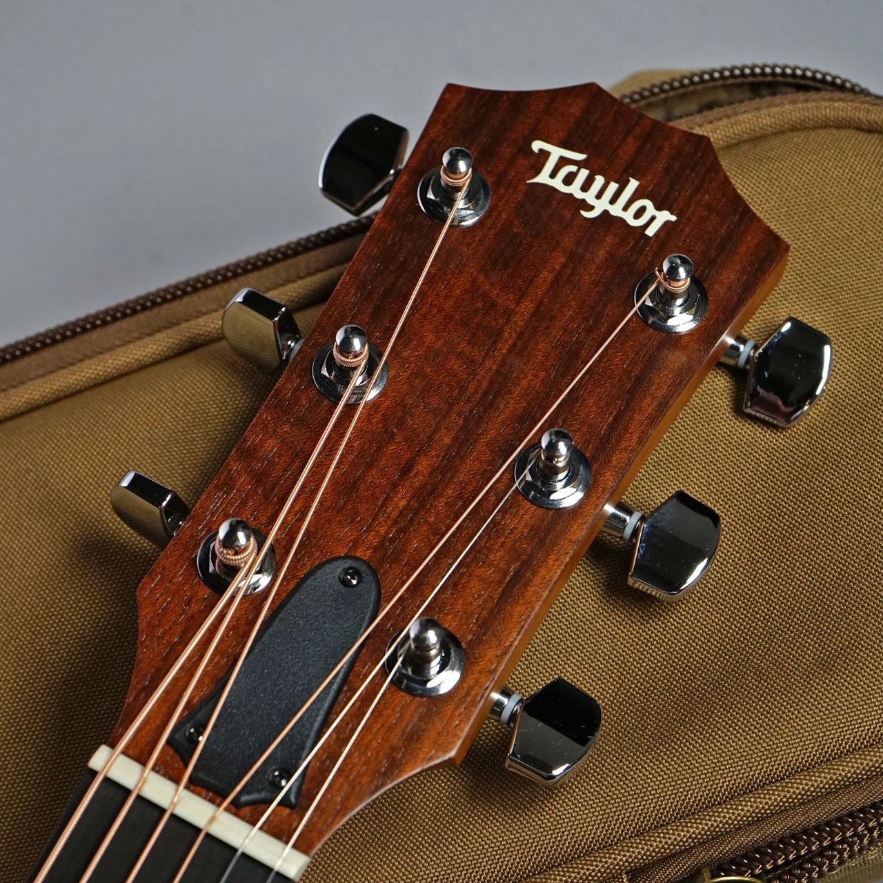 Taylor Academy 12 重量1.87Kg（新品/送料無料）【楽器検索デジマート】