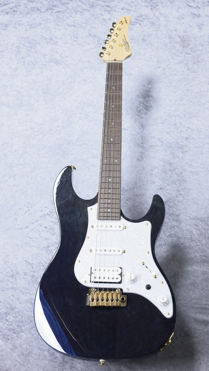 FUJIGEN(FGN) EOS-KN-SSH DOB ~Deep Ocean Blue~ #J240155【3.42kg