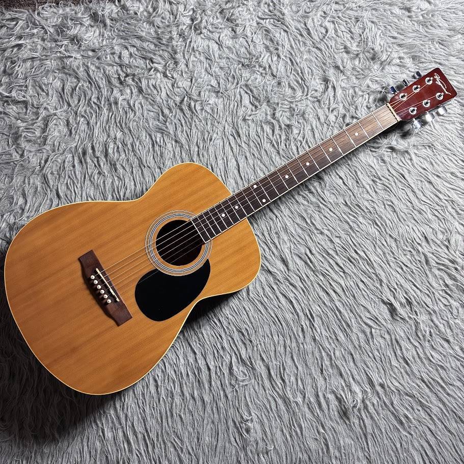 VANGUARD 【中古】VFG-01（中古）【楽器検索デジマート】