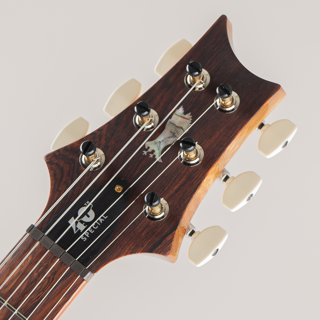 Paul Reed Smith(PRS) 40th Aniversary Special Semi-Hollow Limited