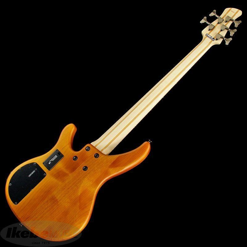 YAMAHA TRBX605FM (MAM）（新品）【楽器検索デジマート】