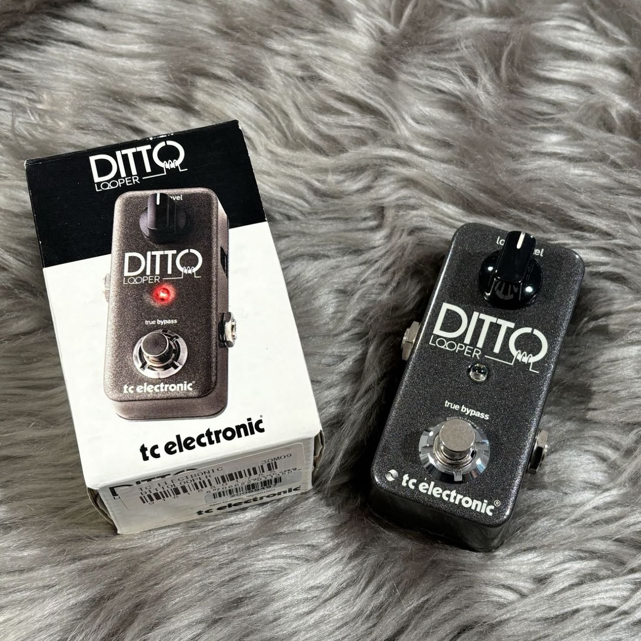 tc electronic Ditto Looper（中古）【楽器検索デジマート】