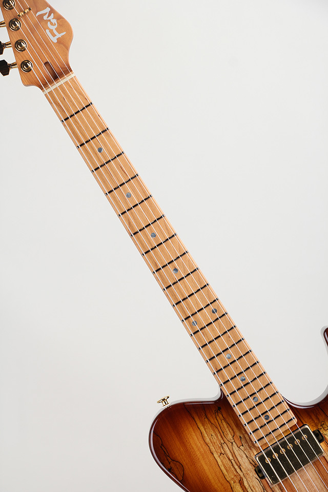 美品　フジゲン　fujigen テレキャスター EIL-EW1-HS-RM 楽天市場】FgN(FUJIGEN) Expert ILIAD EIL-EW1-HS-RM/HCB (Hojicha