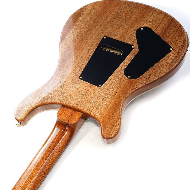 Paul Reed Smith(PRS) 2024 Custom 24 10top (Yellow Tiger) SN