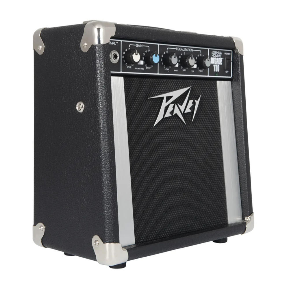 PEAVEY PEAVEY ピーヴィー Decade Too Guitar Amp Combo ギターアンプ