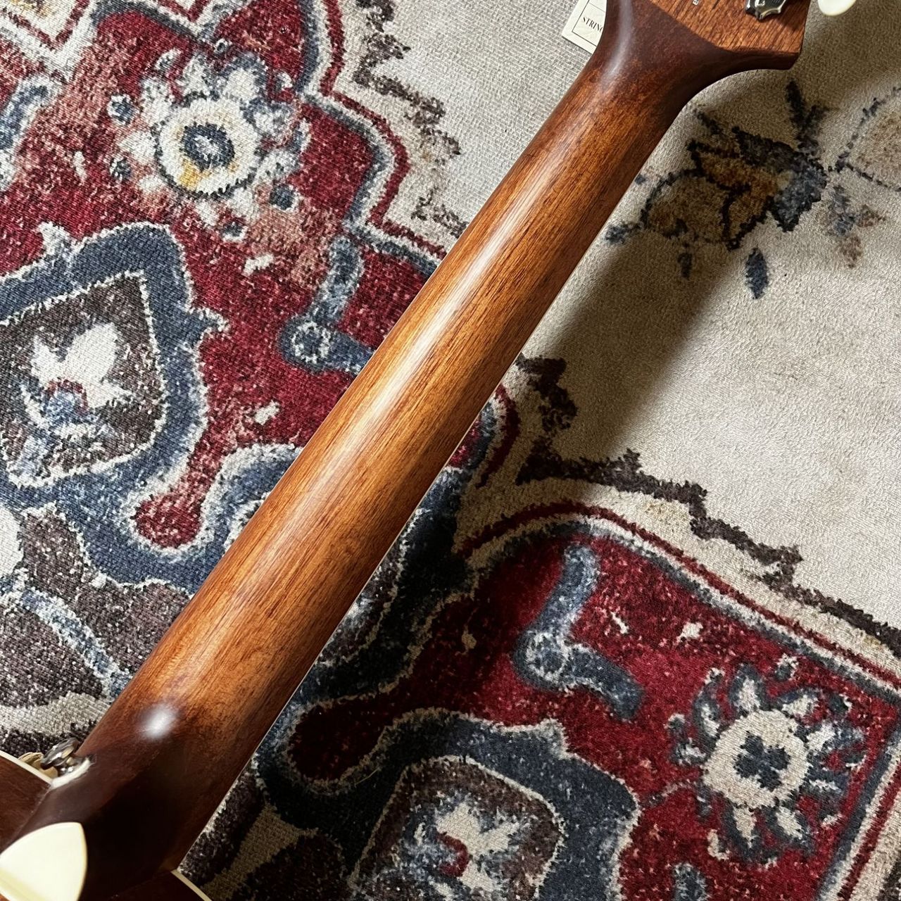 Paul Reed Smith(PRS) SE Parlor VM アコースティックギター