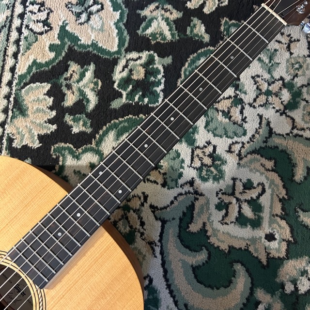 Taylor Academy10e（新品）【楽器検索デジマート】