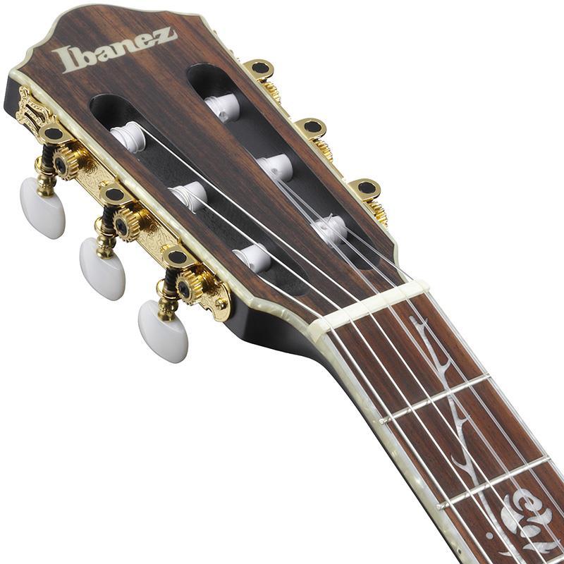 Ibanez TOD10N-TKF (Transparent Black Flat) [Tim Henson Model] 【新