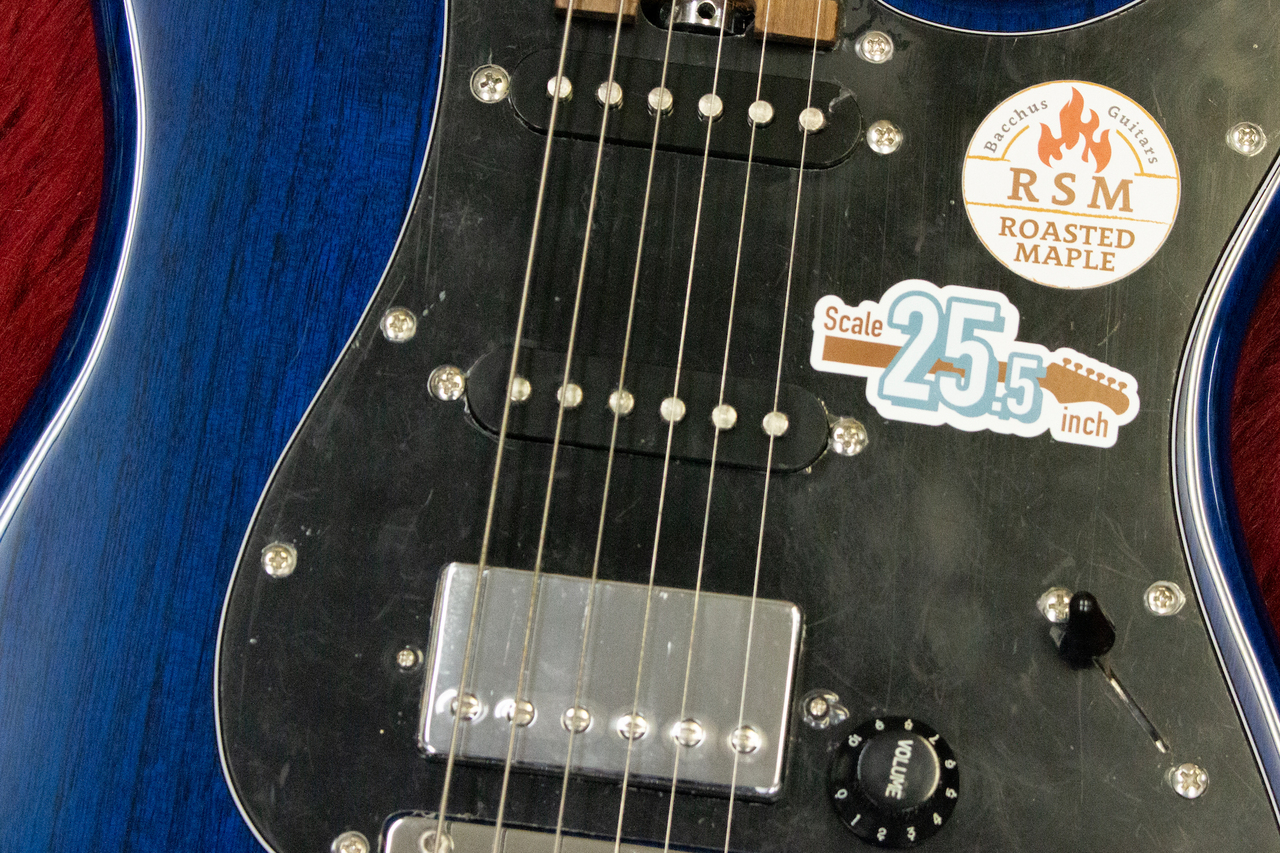 Bacchus BSH-900 ASH/RSM STB【横浜店】（新品/送料無料）【楽器検索