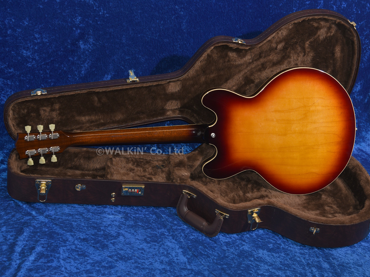 Archtop Tribute AT135STP（新品）【楽器検索デジマート】