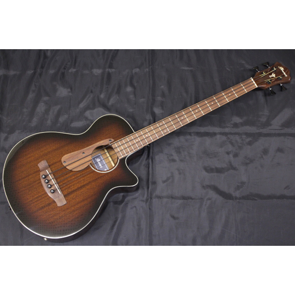 Ibanez Ibanez(アイバニーズ) / AEGB24E MHS（新品/送料無料）【楽器 