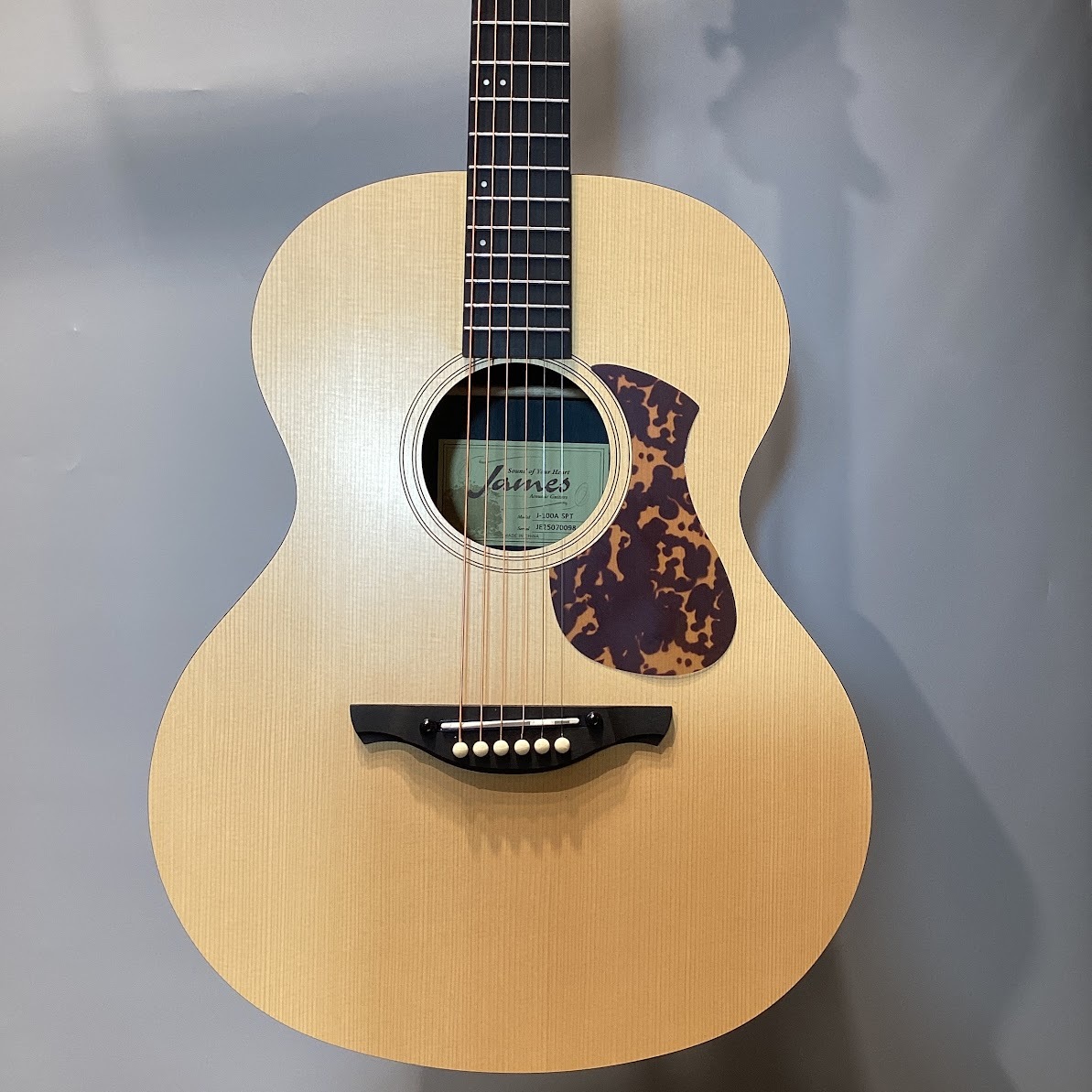 James J-100A SPT アコースティックギター ギグケース付属 スプルース