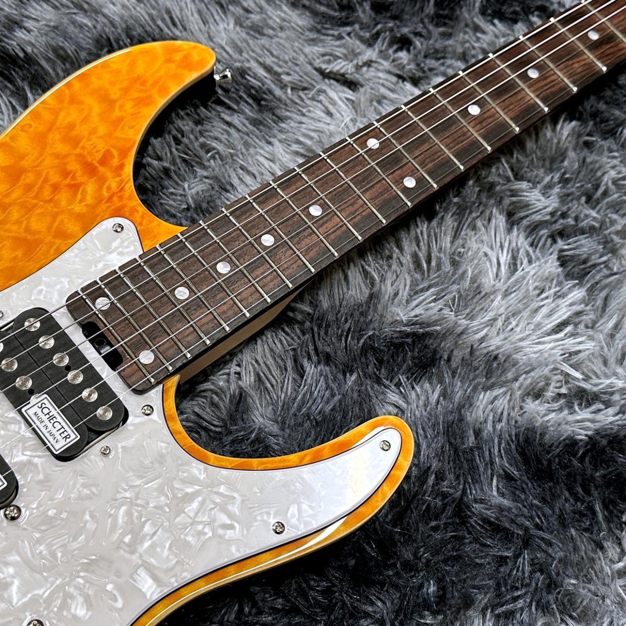 SCHECTER JAPAN SD-2-24-AL AMB (Amber) / Rosewood（新品/送料無料