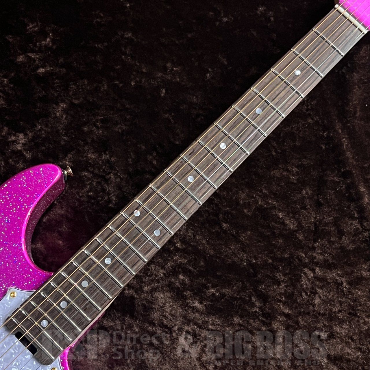 GrassRoots G-SNAPPER-TO/AC（新品/送料無料）【楽器検索デジマート】