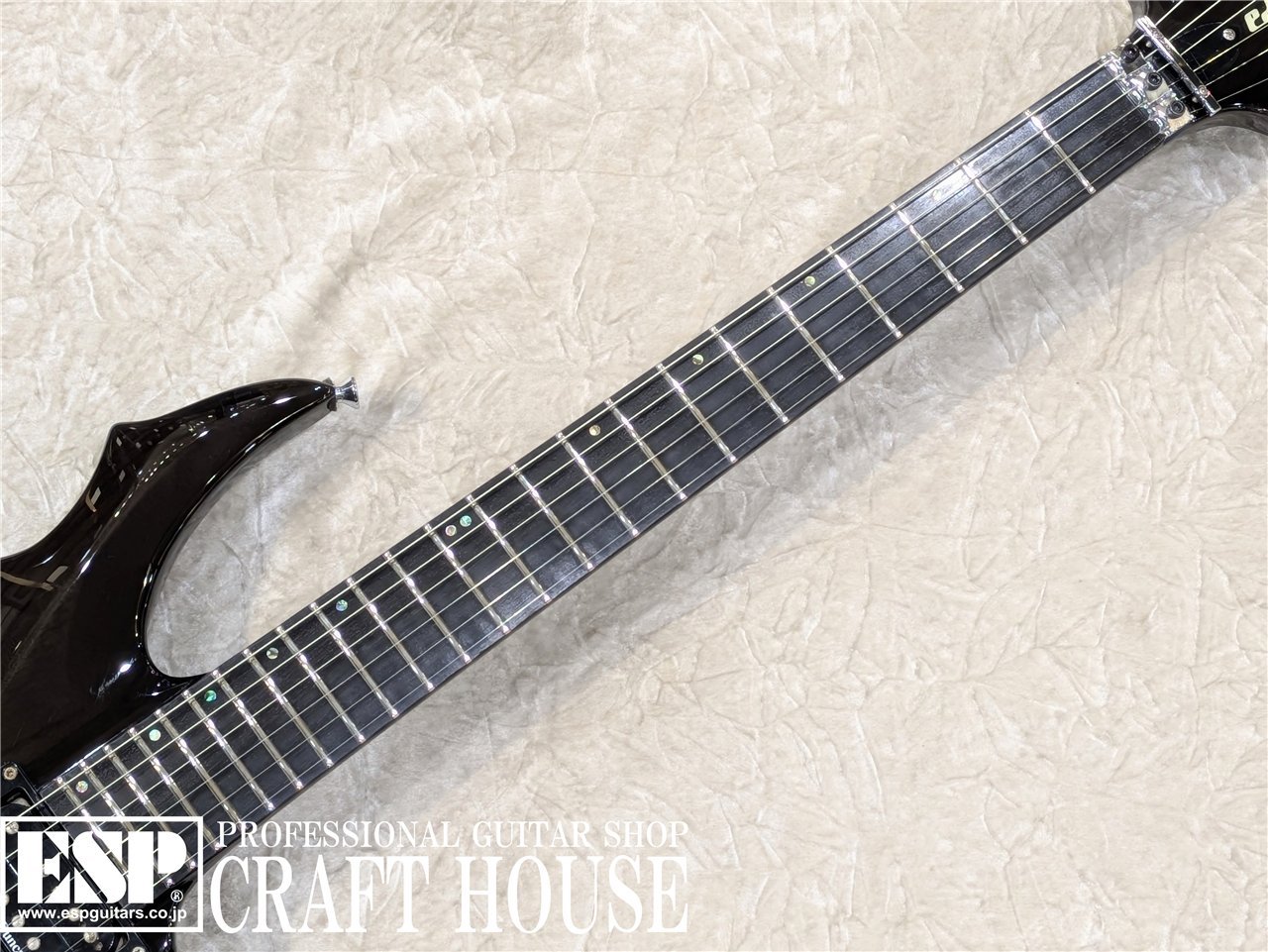 EDWARDS E-FR-130GT / See Thru Black（中古/送料無料）【楽器検索