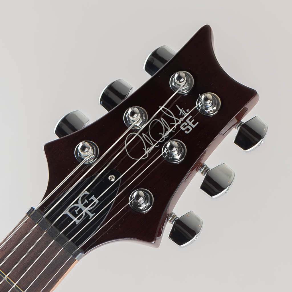 Paul Reed Smith(PRS) SE DGT / Gold Top Moon Inlays（新品/送料無料