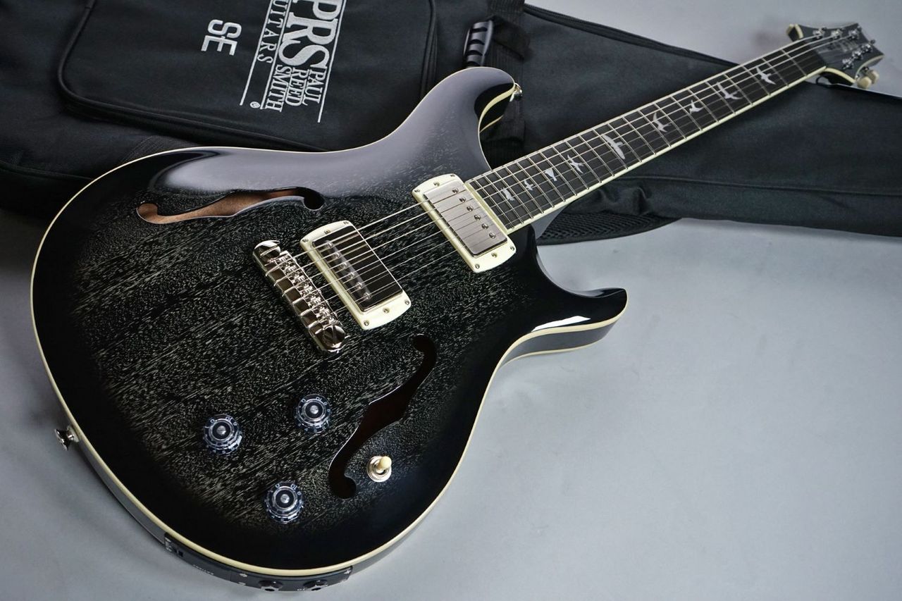 Paul Reed Smith(PRS) SE Hollowbody Standard Piezo DH(Black Doghair